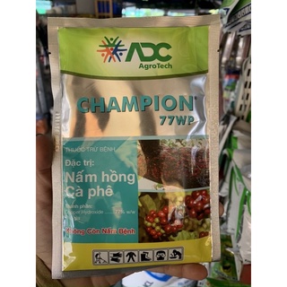 Champion 77wp - nấm hồng, cháy lá hoa mai do nấm gây ra