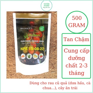 Phân Bón Thông Minh Tan Chậm RYNAN NPK 18-08-22 - Túi 500g