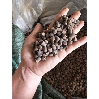 1kg Quả sim chín sấy khô sạch
