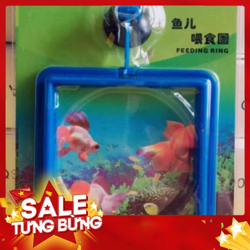 Vòng giữ thức ăn cho cá [SunAqua]