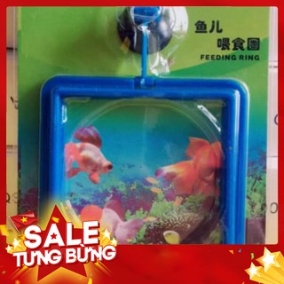 Vòng giữ thức ăn cho cá [SunAqua]