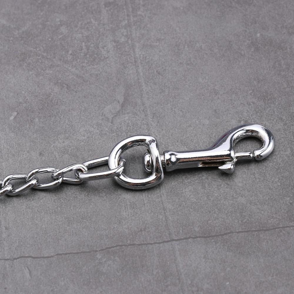 Dây Dắt Thú Cưng Đi Dạo Thời Trang