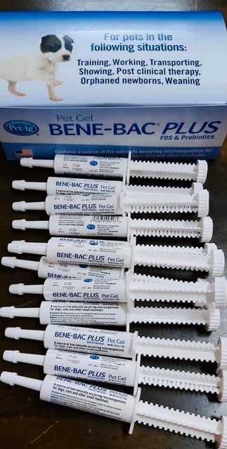 Men Tiêu Hoá BENE-BAC PLUS cho chó mèo - Made in USA