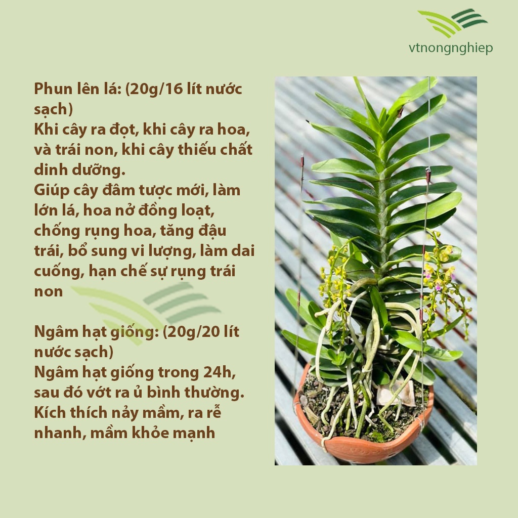 N3m, phân bón lá n3m, ra rễ rực mạnh, lọ 100