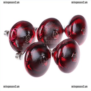 Đèn LED Nhiệt Thông Minh Dành Cho Thú Cưng