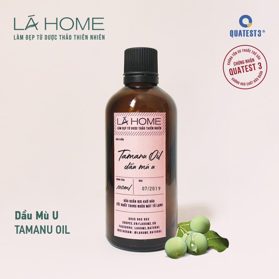 Dầu Mù U Ép Lạnh Thủ Công - Tamanu Oil - HandMade From VietNam | BigBuy360 - bigbuy360.vn