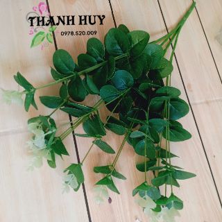 1 cành lá táo vải / nhựa