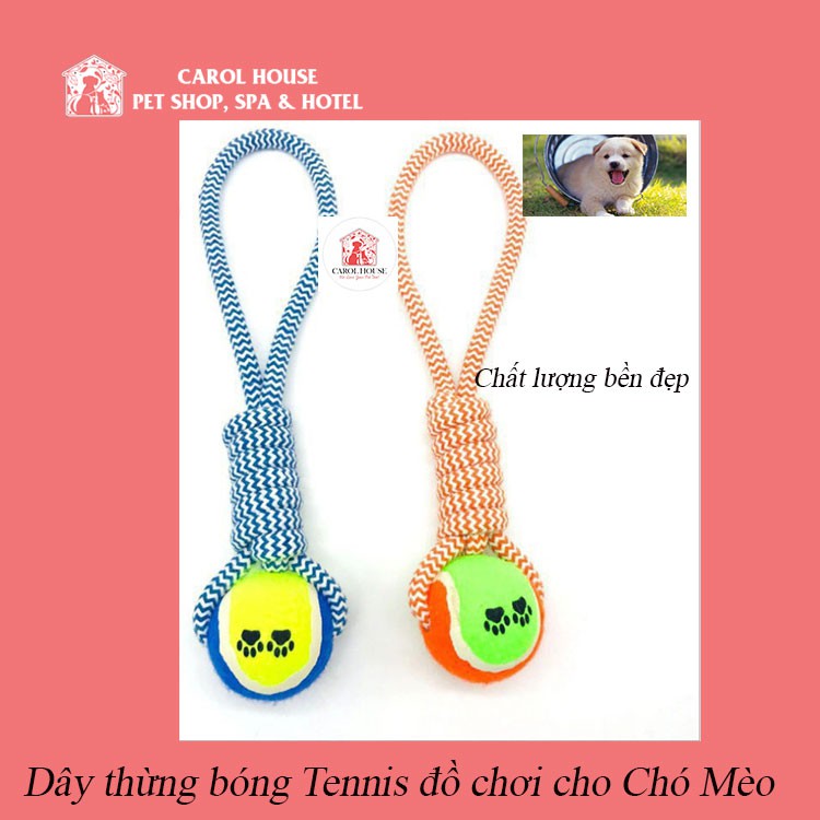 BÓNG THỪNG ĐỒ CHƠI CHO CHÓ MÈO đường kính bóng 5cm