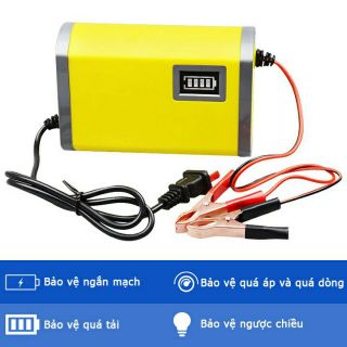 Sạc ác quy ô tô tự ngắt 12V 20AH - 80AH