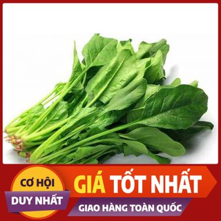 Hạt Giống Cải Bó Xôi (Rau Chân Vịt) Chịu Nhiệt, Dễ Trồng 20gr