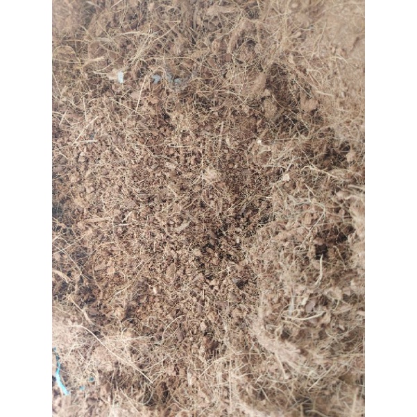Mụn xơ dừa khô 1kg