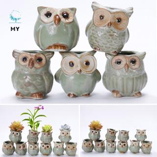 Bộ 5 chậu trồng hoa bằng gốm hình chim cú mèo dễ thương