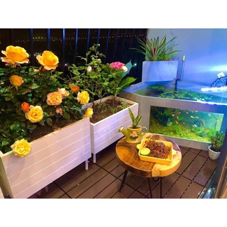 Chậu trồng cây gỗ nhựa composite 60*30cm chưa kèm chân