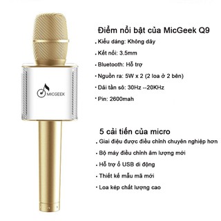 Micro Karaoke Bluetooth MicGeek Q9