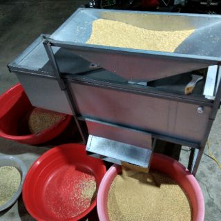 Cỏ Thái Trắng