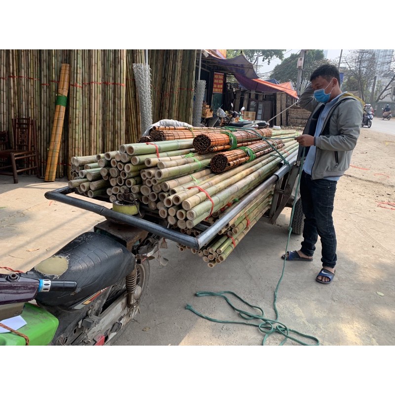 Tre trúc bè giáo công trình, tre trúc 4m