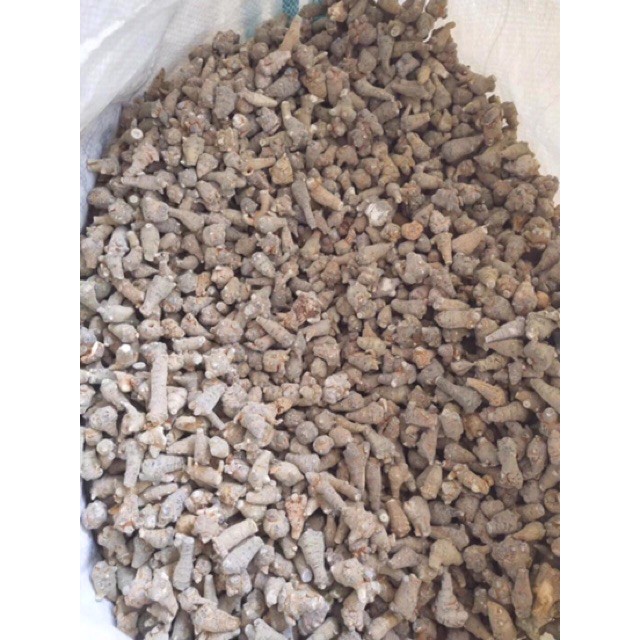 Tam thất bắc 200G ❤️FREESHIP❤️ hàng chuẩn 100% - Sai hoàn gấp 10 lần / ❤️HÀNG XỊN XÒ❤️