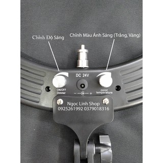 Đèn Led Ring light livestream