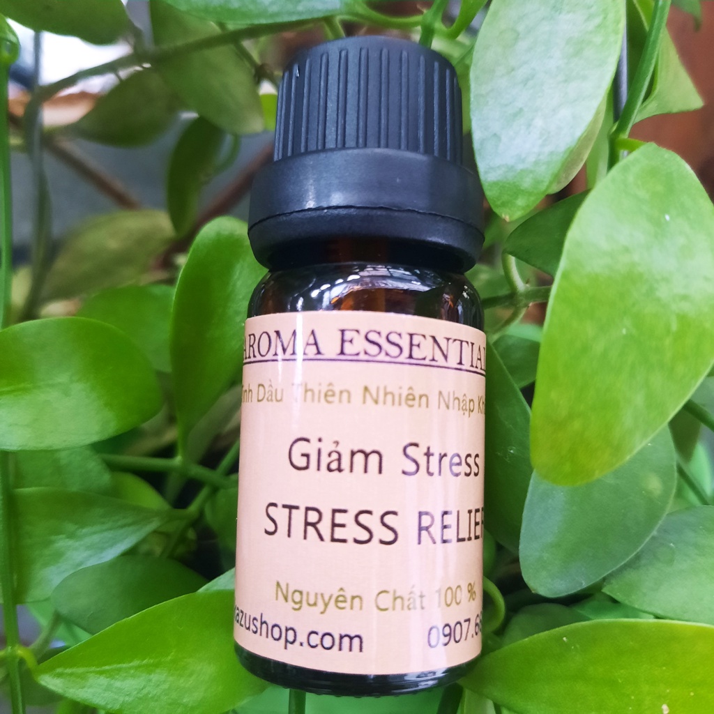 Tinh dầu giảm stress tạo thơm phòng