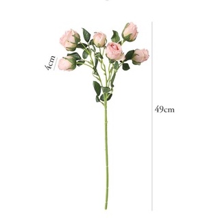 7 nhái theo hoa hồng khô, hoa nhân tạo, hoa lụa tươi, khai vị bàn, trang trí nhà