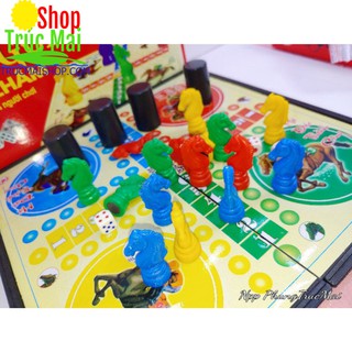 Cờ Cá Ngựa Nam Châm Cao Cấp