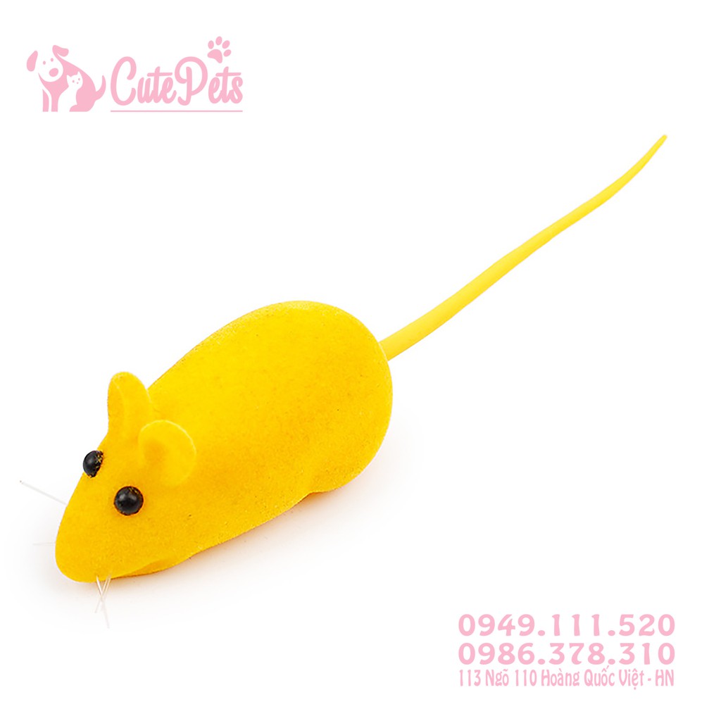 Đồ chơi chuột chút chít dành cho thú cưng - CutePets Phụ kiện chó mèo Pet shop Hà Nội