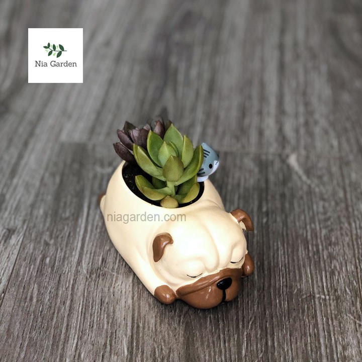 Chậu chó Pug ngủ chậu nhựa trồng cây để bàn sen đá mini xương rồng Nia Garden N4