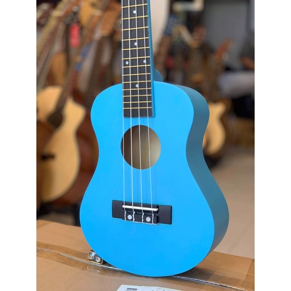 Đàn Ukulele Concert