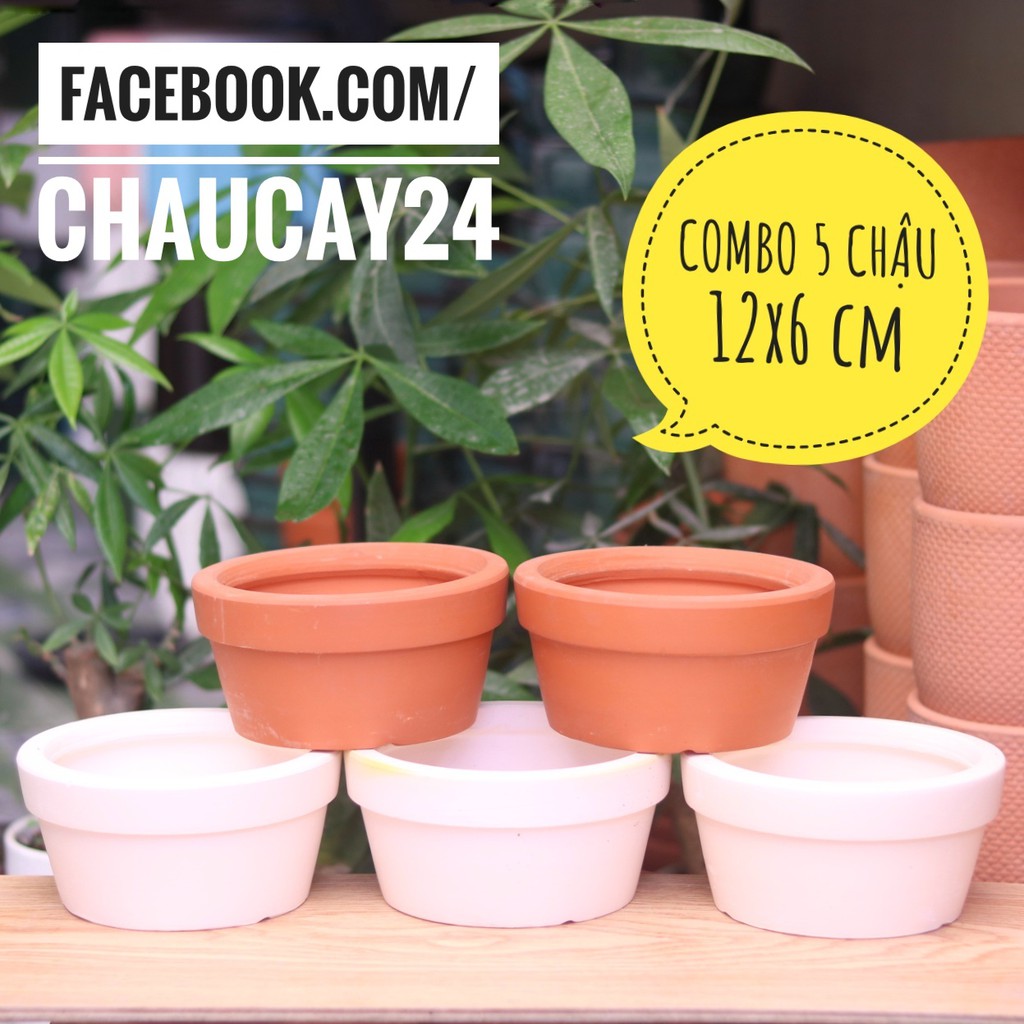 COMBO 5 chậu đất nung 12x6 cm trồng cây cảnh nội thất, sen đá, xương rồng