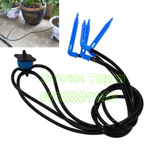 Combo 10 bộ 4 que cắm nhỏ giọt - Hàng tốt