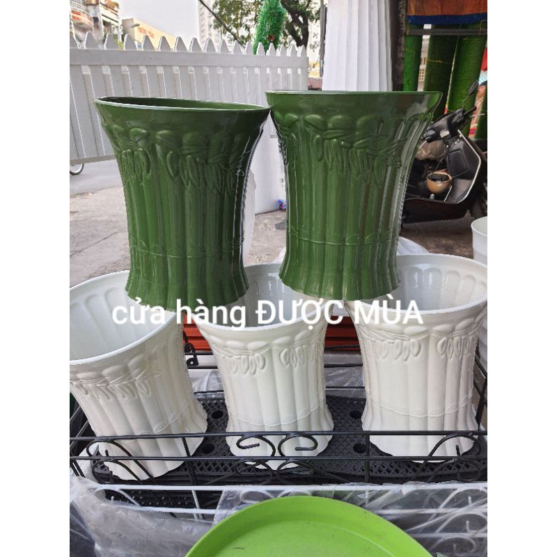 combo 2 chậu nhựa ống trúc đk 21cm cao 25cm