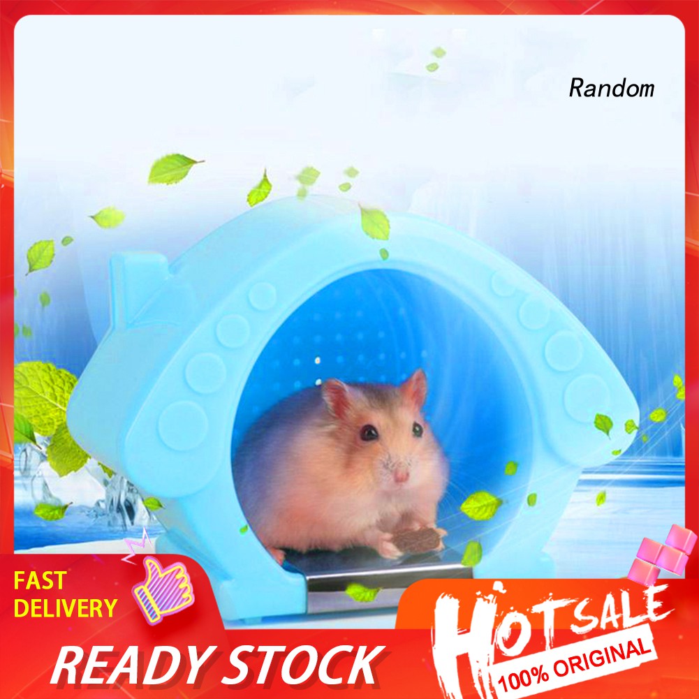 Tổ Làm Mát Mùa Hè Cho Chuột Hamster