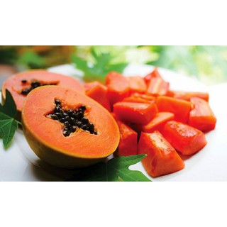 cây đu đủ lùn ruột đỏ siêu trái