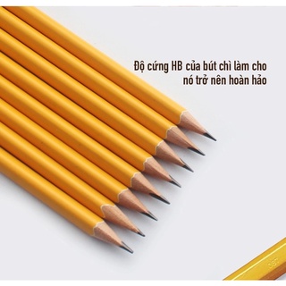 Bút chì gỗ STABILO Swano 4905 HB (thân vàng, có tẩy)