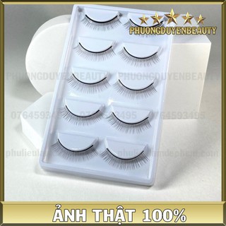 Mi giả tập nối dành cho người mới ngành mi - khay 5 cặp