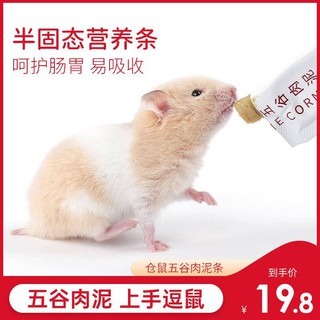 Hamster snack dinh dưỡng