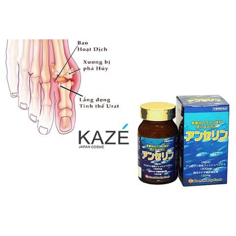 Viên Hỗ Trợ Gout ANSERINE MINAMI
