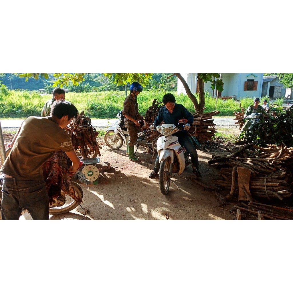 Cây Huyết Đằng Cây Bổ Máu Khô 1kg