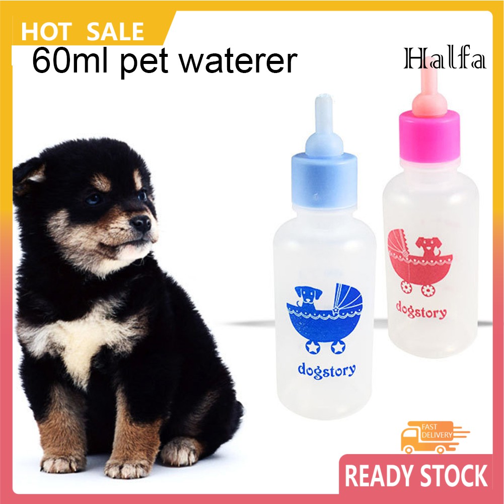 Bình Sữa Silicone Cho Chuột Hamster 60ml