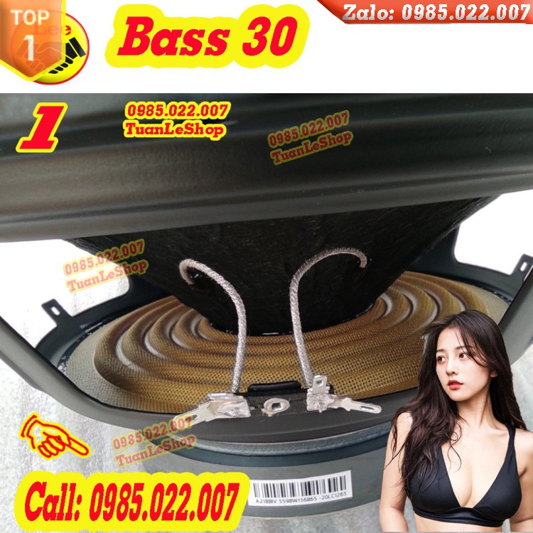 1 CỦ LOA BASS 30 GÂN MÚT COIL 66 TỪ KÉP 156-100 –GIÁ 01 CỦ 3 TẤC