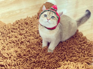 Mũ len Trái dâu tây cho thú cưng ❤️