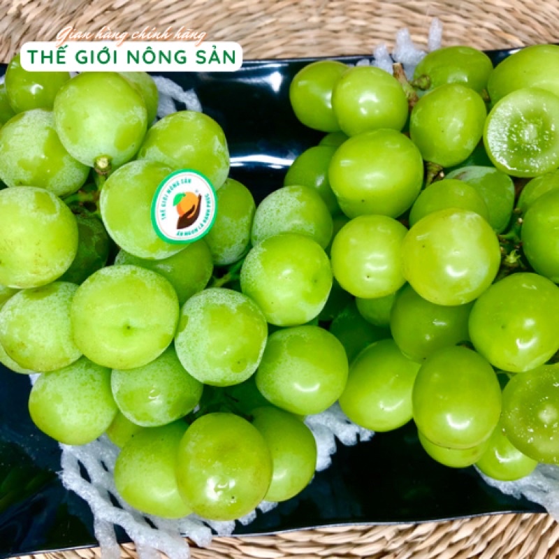 Nho sữa Hàn Quốc Premium - Thơm Ngon Bổ Dưỡng - Thế Giới Nông Sản