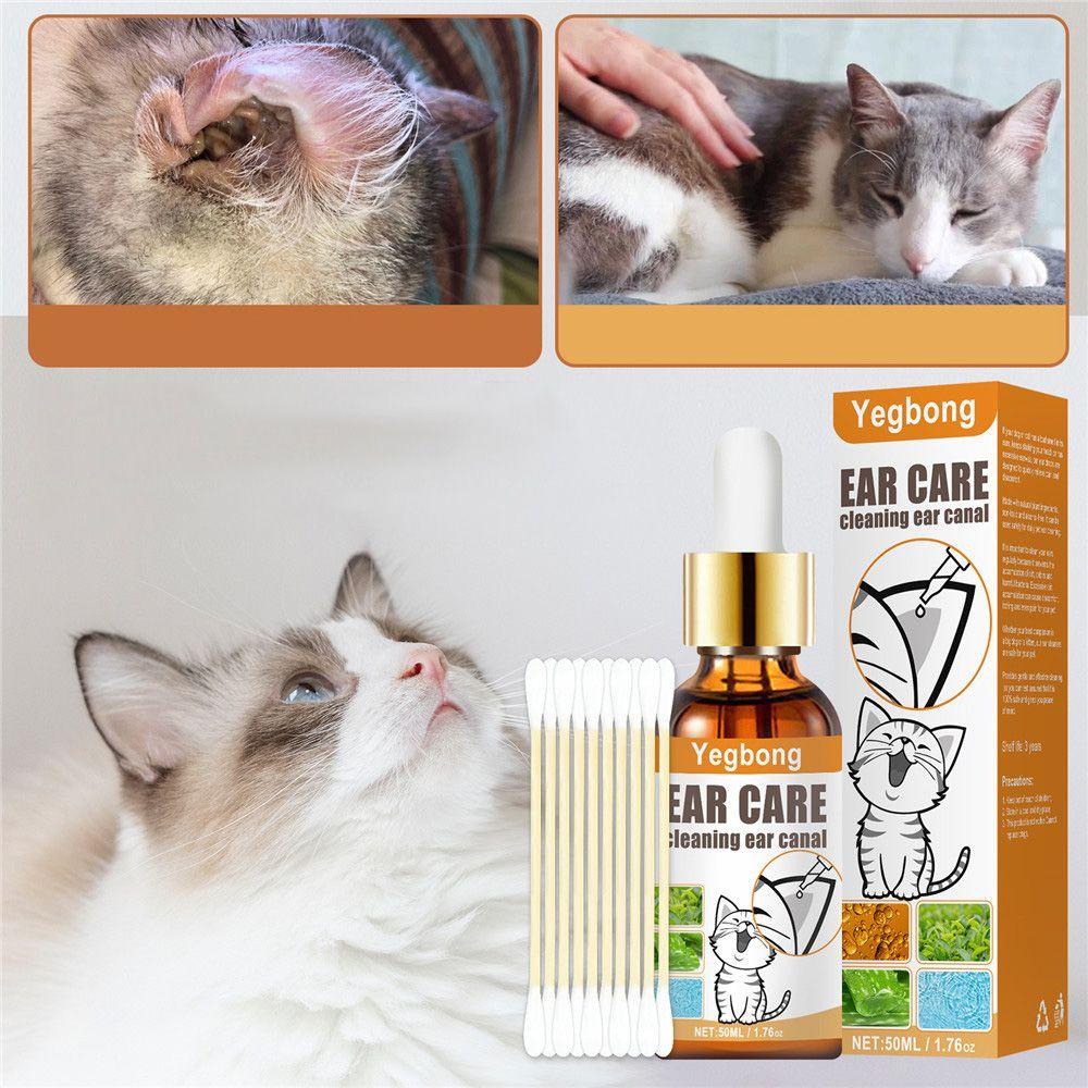 Dụng Cụ Lấy Ráy Tai Cho Thú Cưng