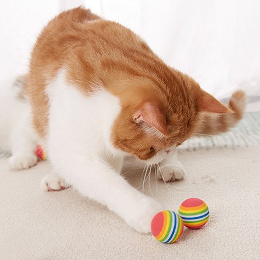 Quả bóng cao su đồ chơi dễ thương cho thú cưng