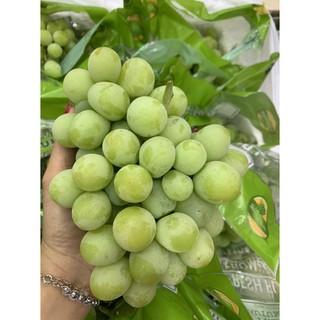 NHO XANH AUTUMN CRISP ÚC