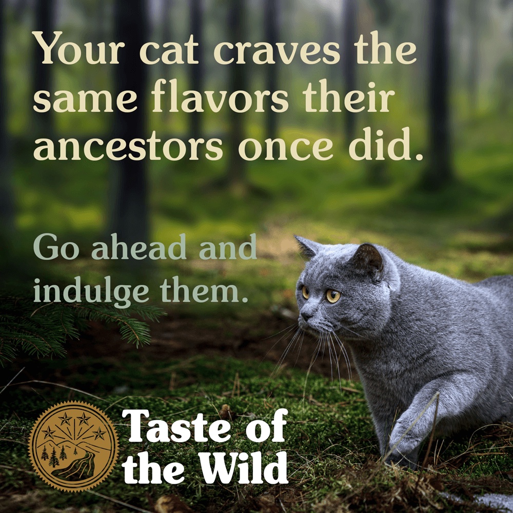 [Mã PET50K giảm Giảm 10% - Tối đa 50K đơn từ 250K] Hạt Taste of the Wild dành cho mèo túi 500g-2kg