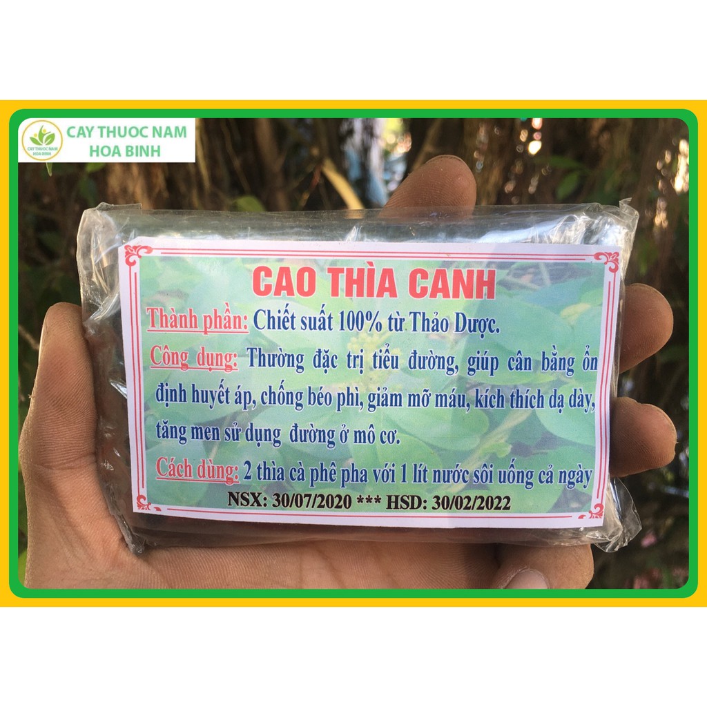 [NHÀ TỰ NẤU] nguyên miếng 100g cao dây thìa canh hải hậu nguyên chất ĐẶC TRỊ TIỂU ĐƯỜNG GMP WHO