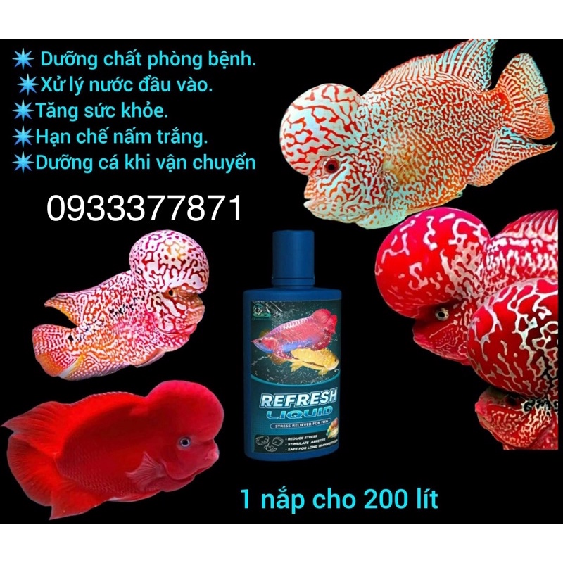 DUNG DỊCH VITAMIN REFRESH LIQUID 100ml cho cá cảnh dưỡng cá và chống stress (Hàng Công Ty - Cá Cưng)