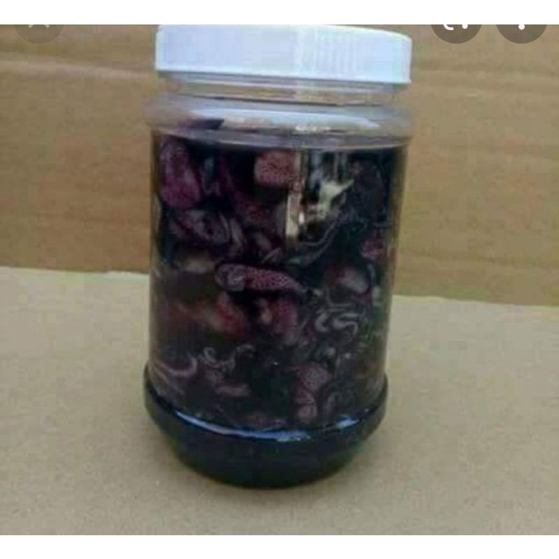Mắm Mực Đặc Sản Bình Định