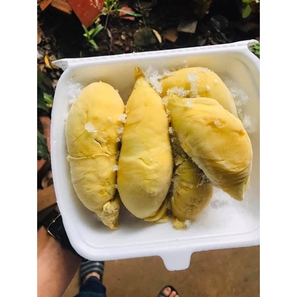 1kg SẦU RIÊNG MÚI CẤP ĐÔNG LÀM CHÈ,BÁNH THƠM NGON.Ship hoả tốc Hà Nội.